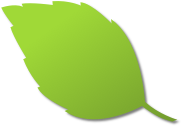 Basil Leaf Icon